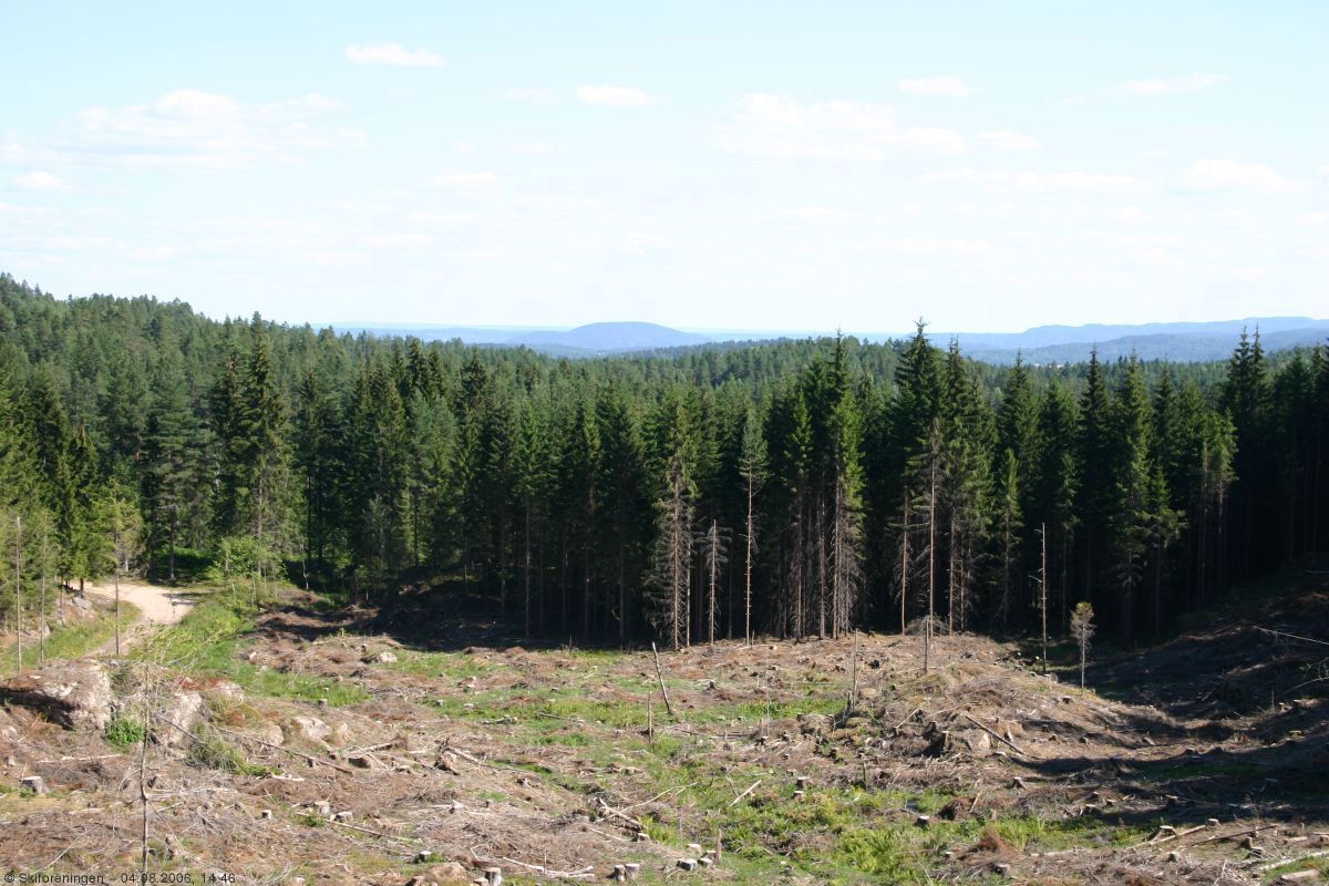 Utsikt fra Trangeberget