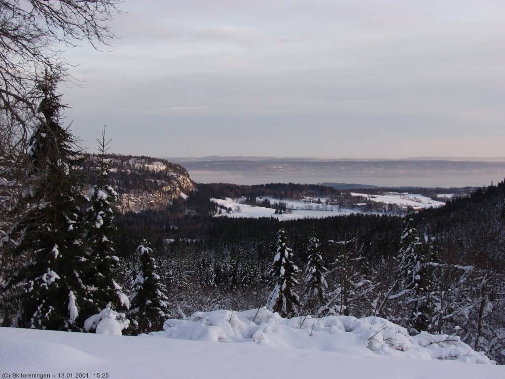 Utsikt fra Tveitersetra over Skaugumsåsen, Semsvannet og Oslofjorden