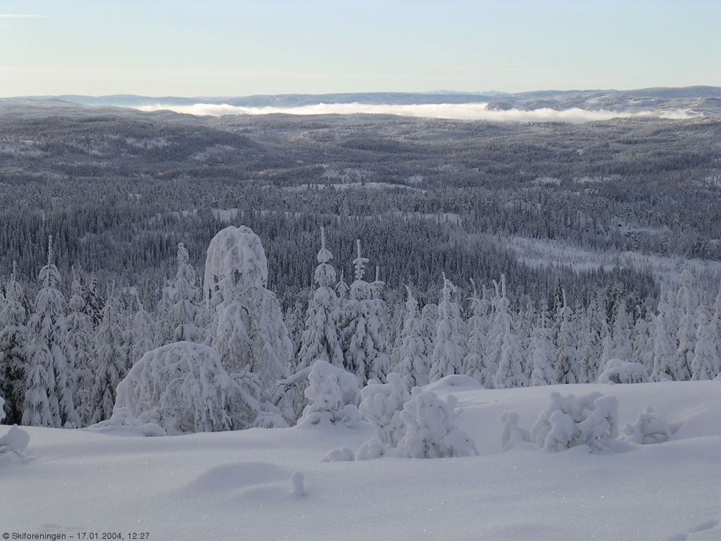Utsikt fra Vidvangen mot Holsfjorden