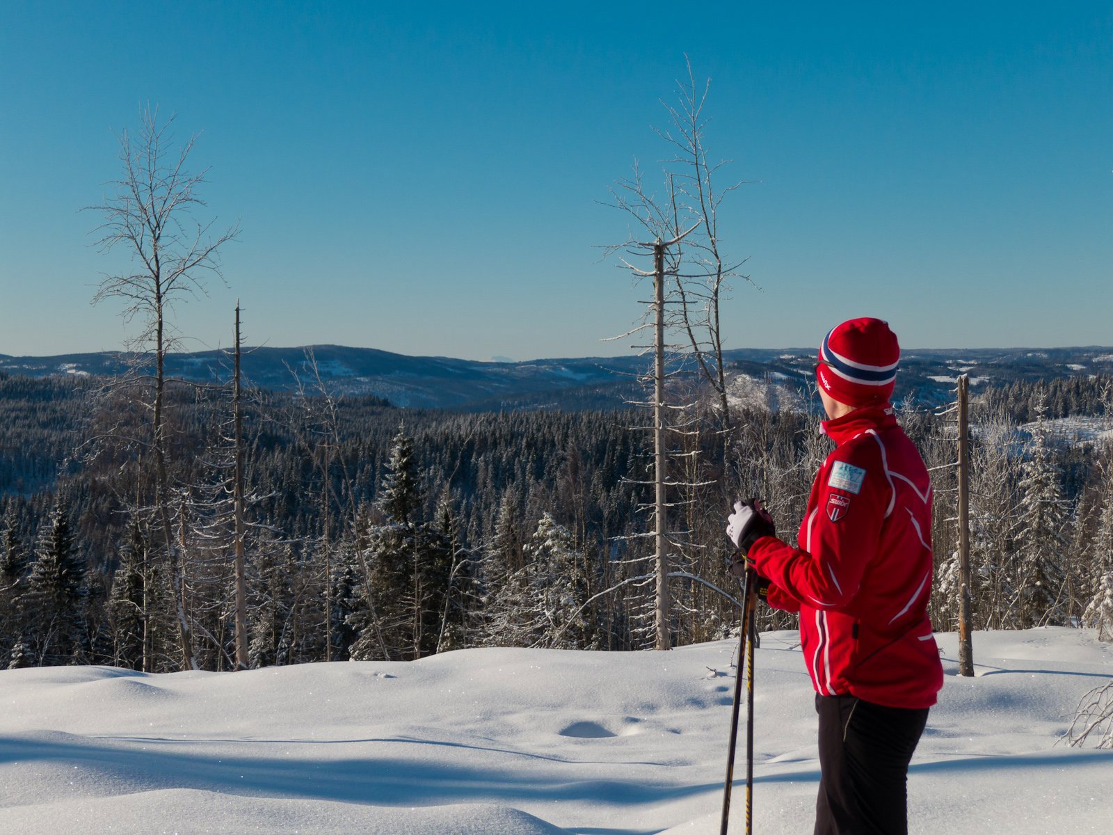 Utsikt mot Gaustatoppen