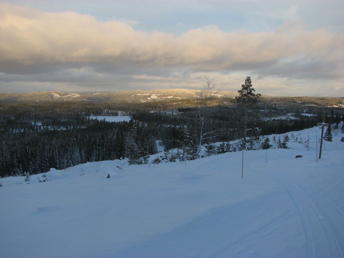 Utsikt mot Glåmhaugen og Kvitingen