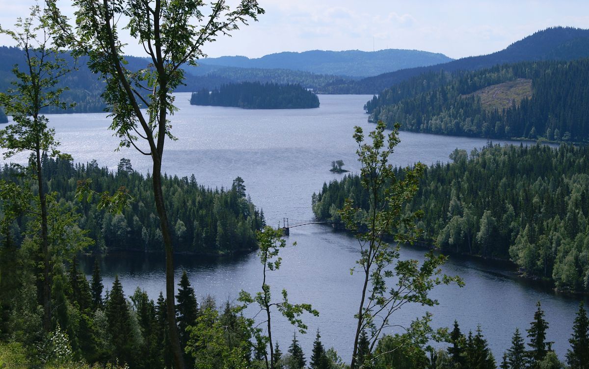 Utsikt mot Hakkloa fra nordsiden