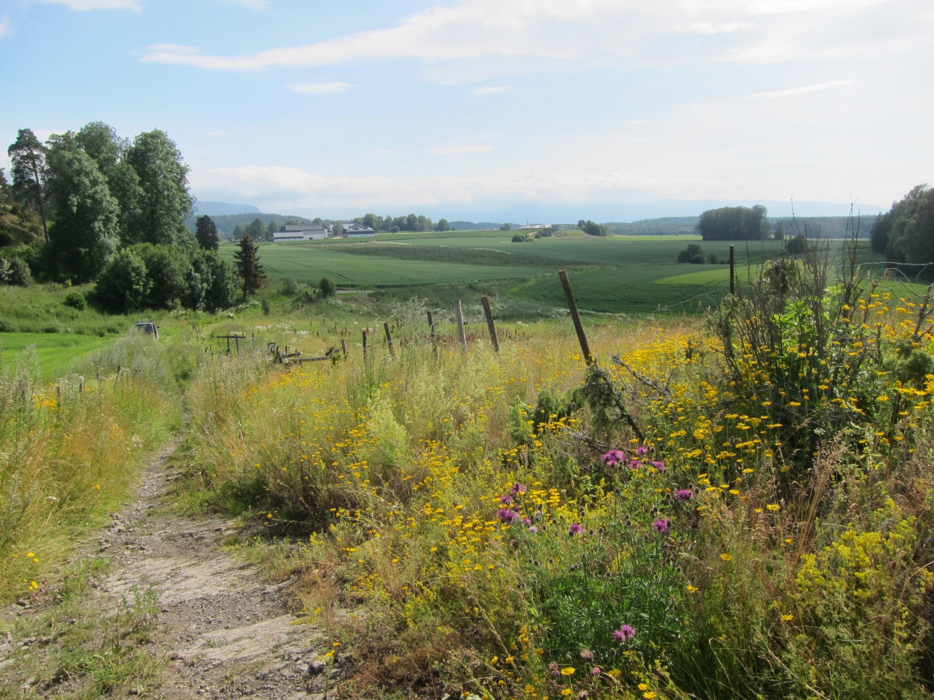 Utsikt mot Holebygda på vei ned fra Bergerhaugen