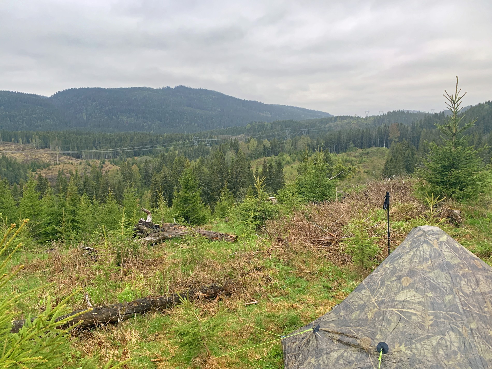 Utsikt mot Stuevassåsen og Oppkuven fra Langlia