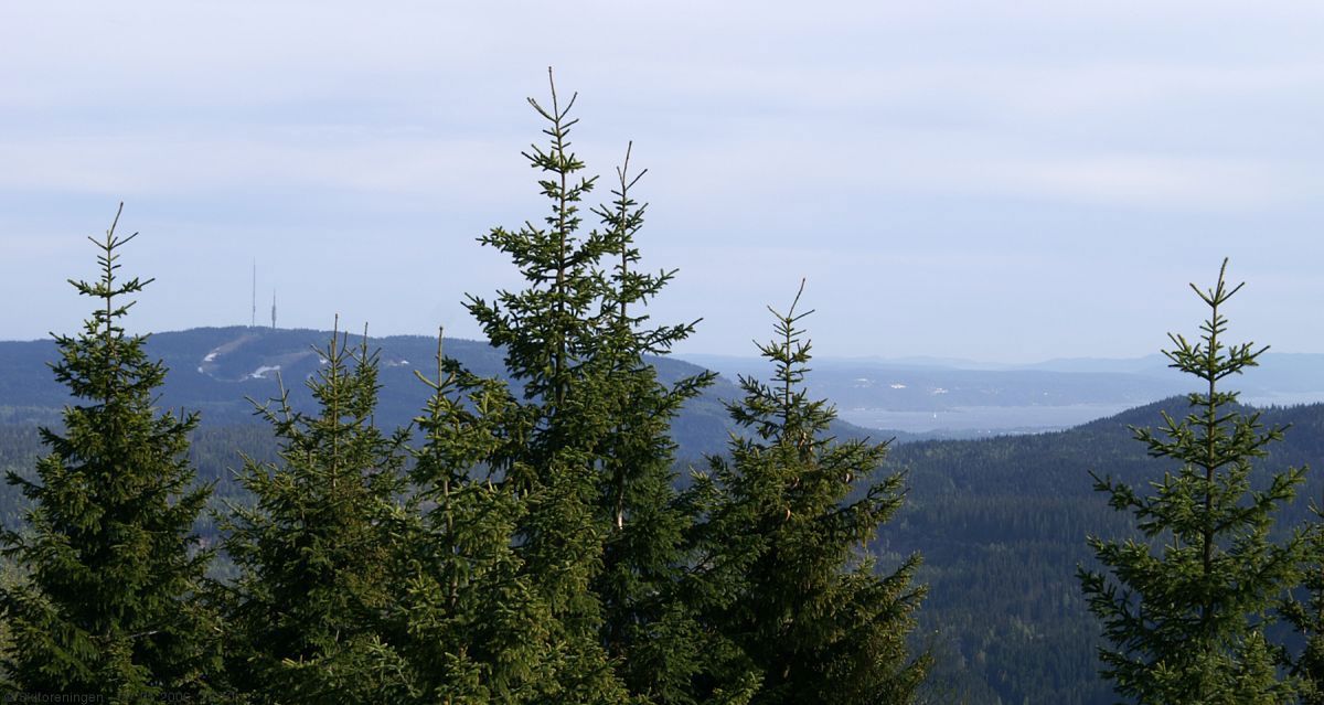 Utsikt mot syd fra Porthøgda