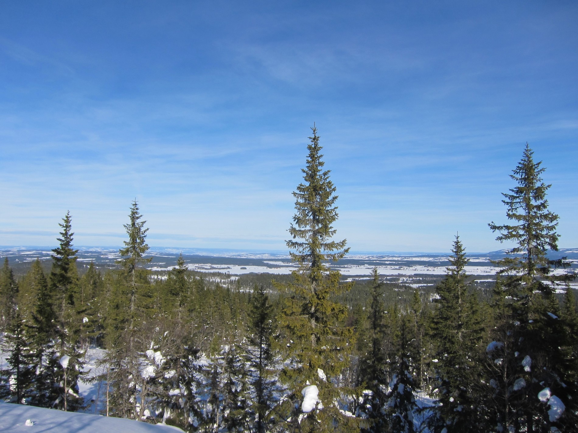 Utsikt mot Toten-bygdene
