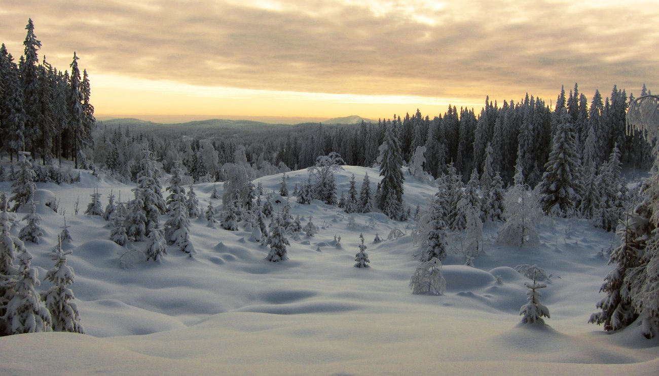 Utsikt mot Varingskollen