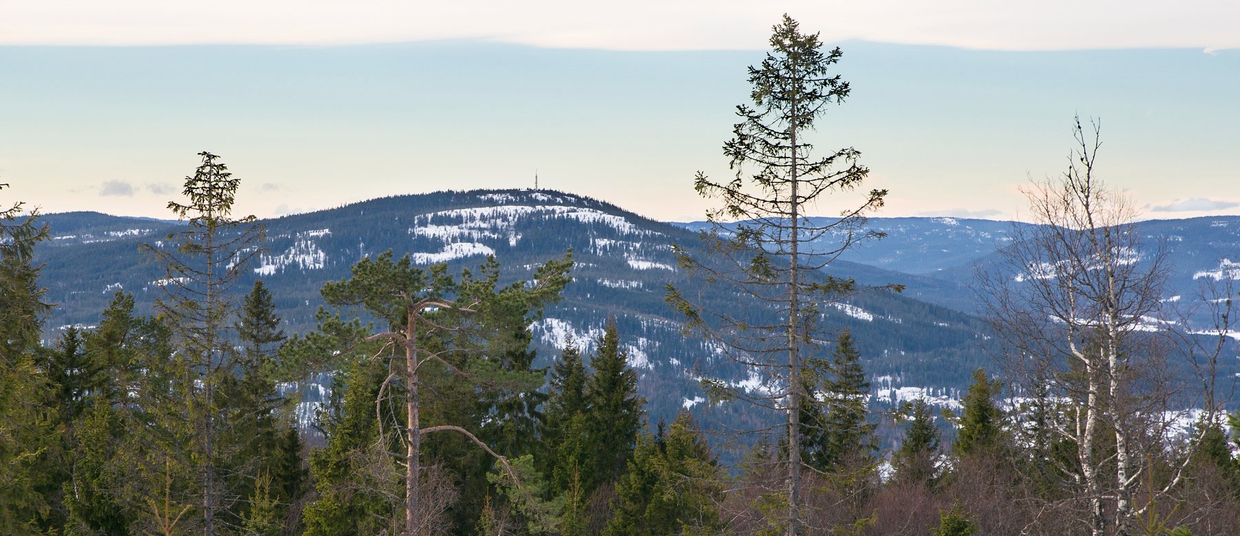 Utsikt mot Varingskollen
