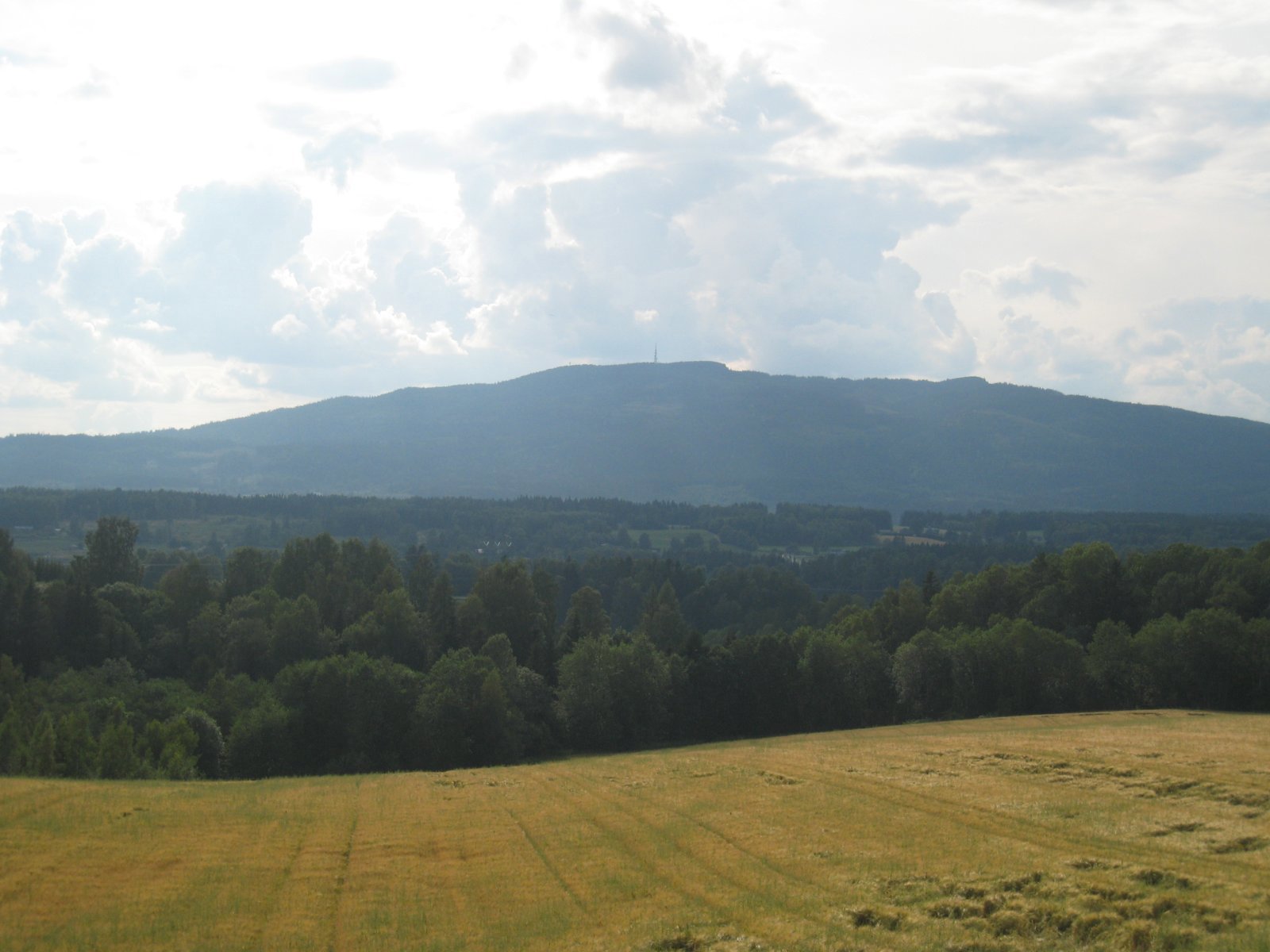 Utsikt mot vest fra Holt