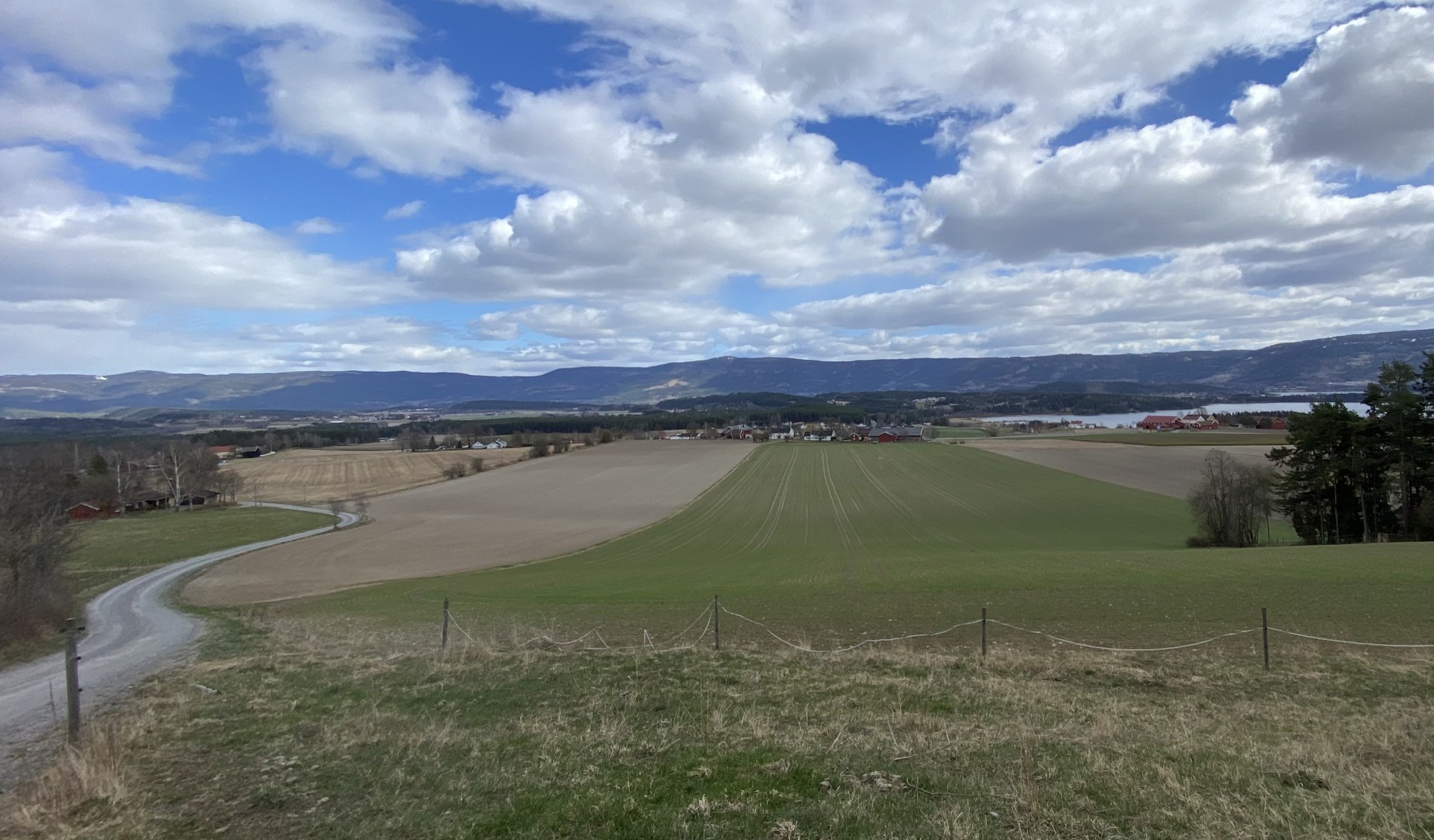 Utsikt østover fra Skarpsnohaugen