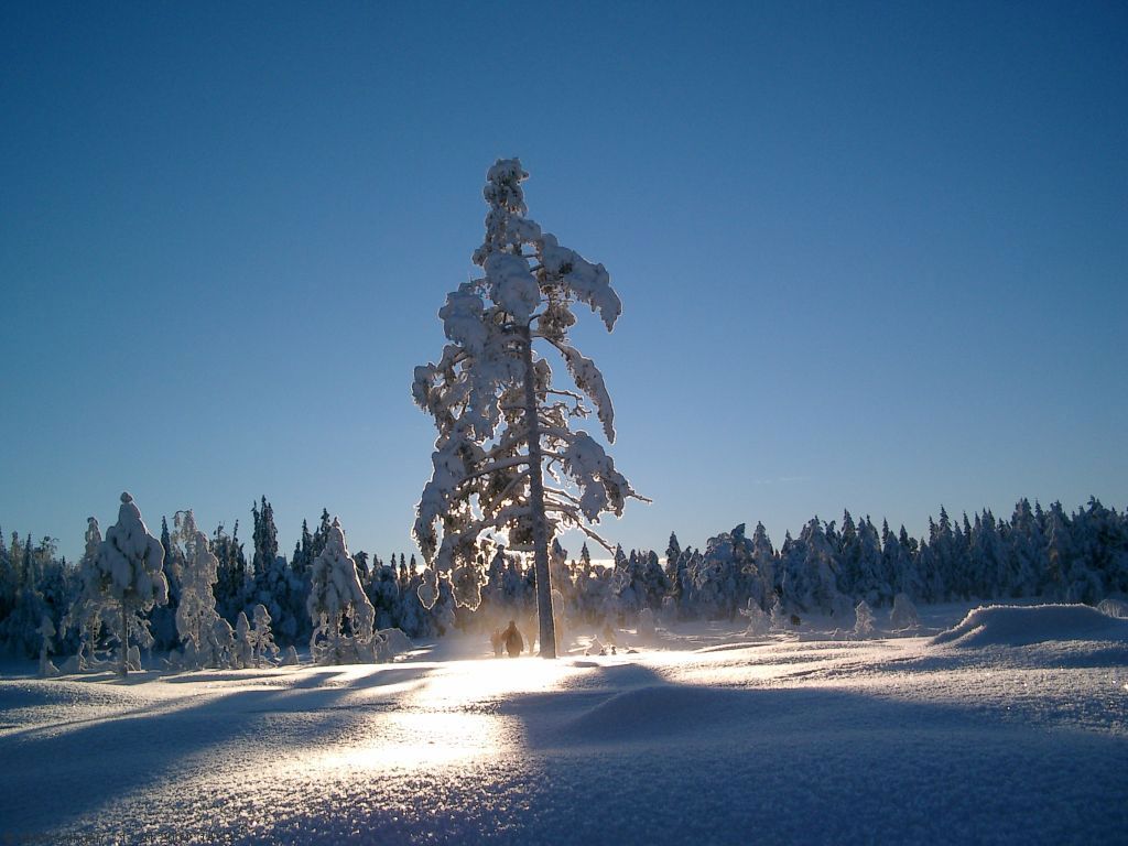 Utsikt over Sætermyra