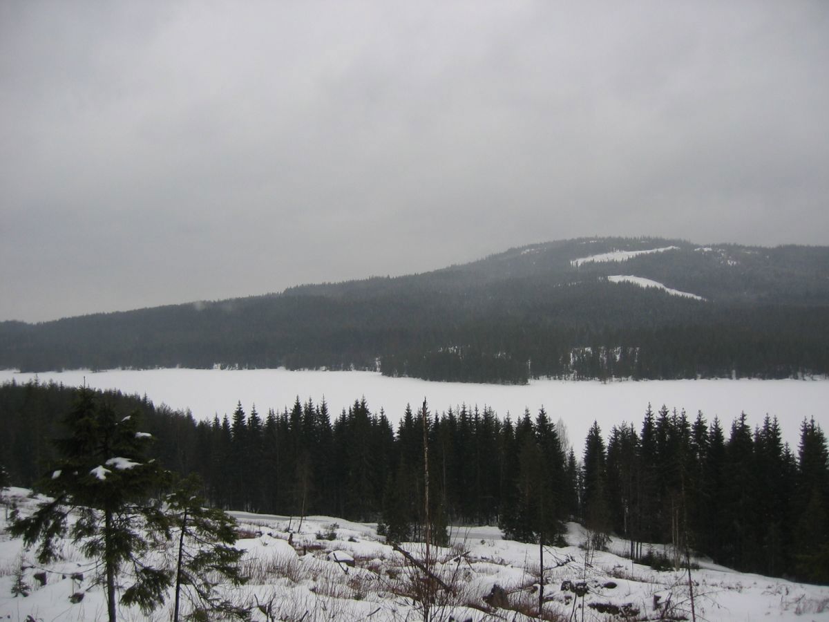 Utsikt over Skjærsjøen fra Kamphaugåsen