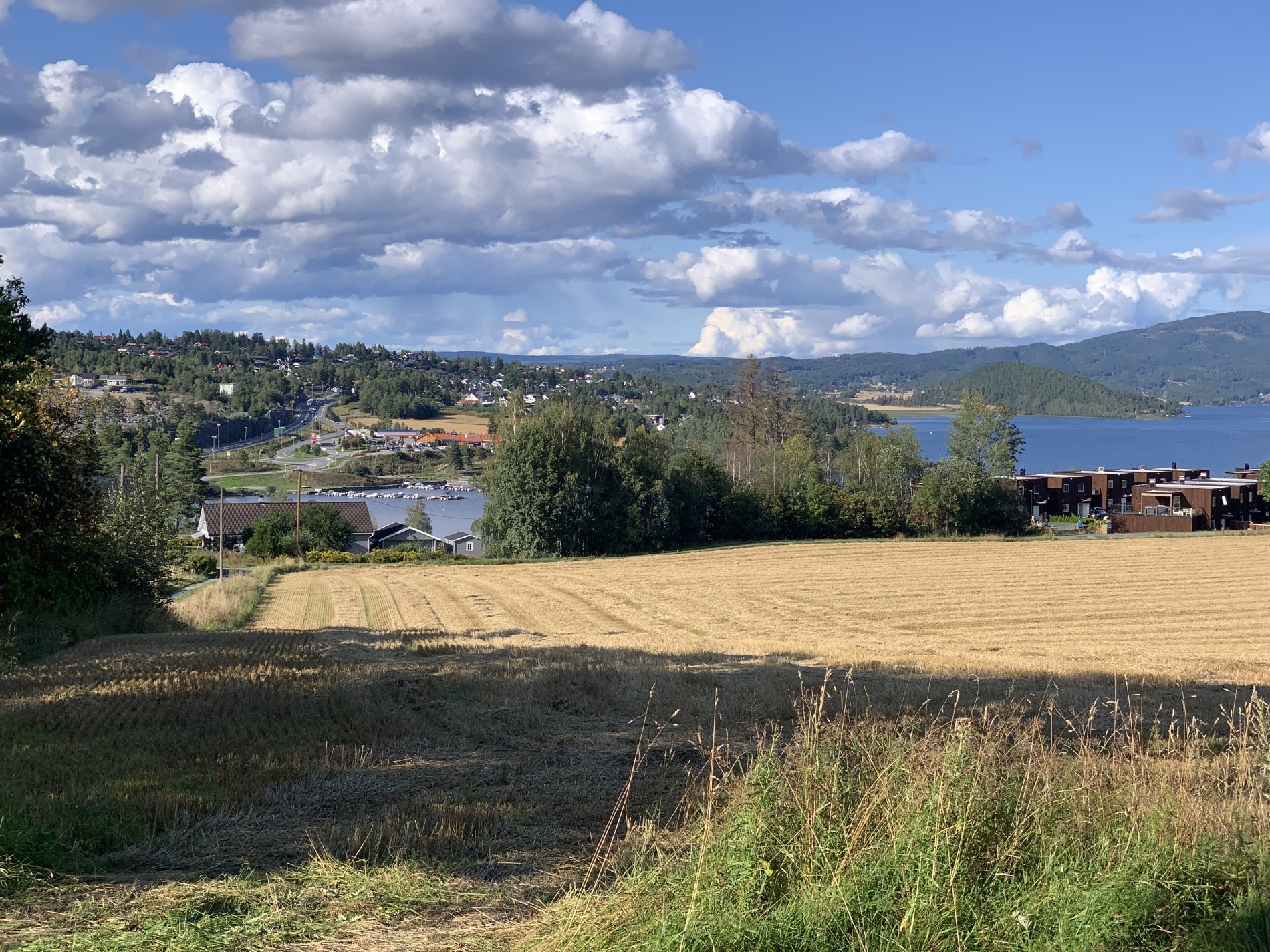 Utsikt over Vik og Steinsåsen