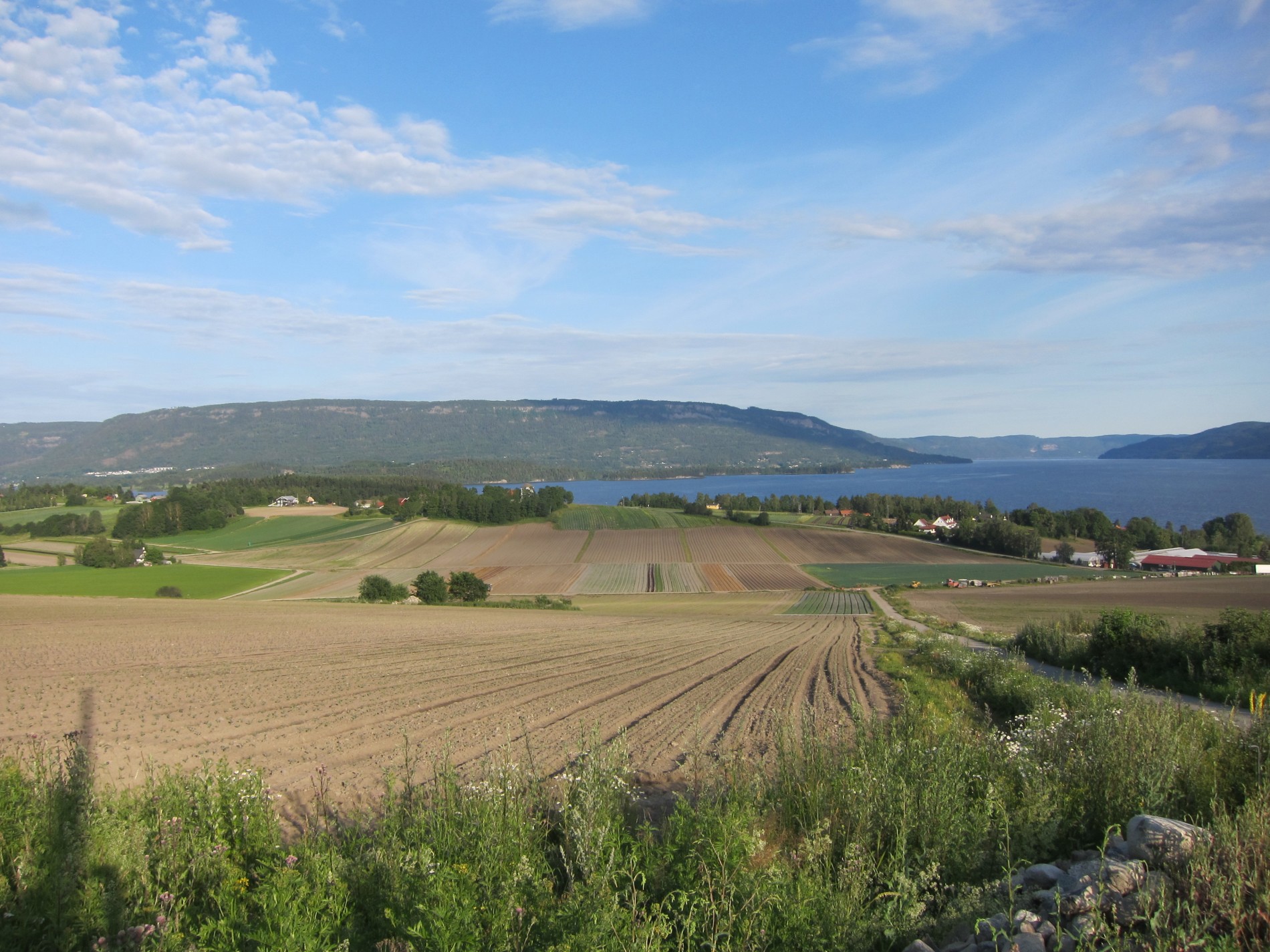 Utsikt sør på Røyselandet