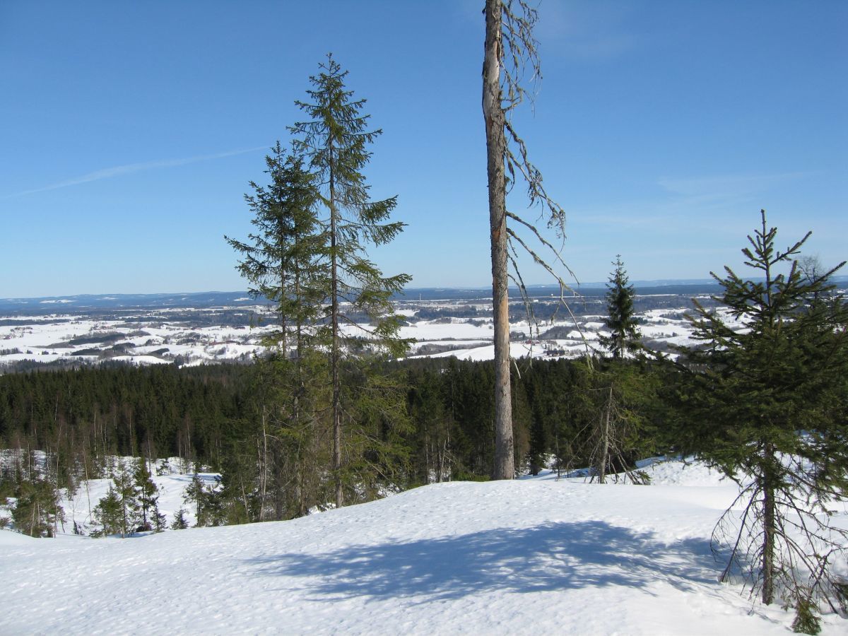 Utsiktspunkt - Romerikssletta