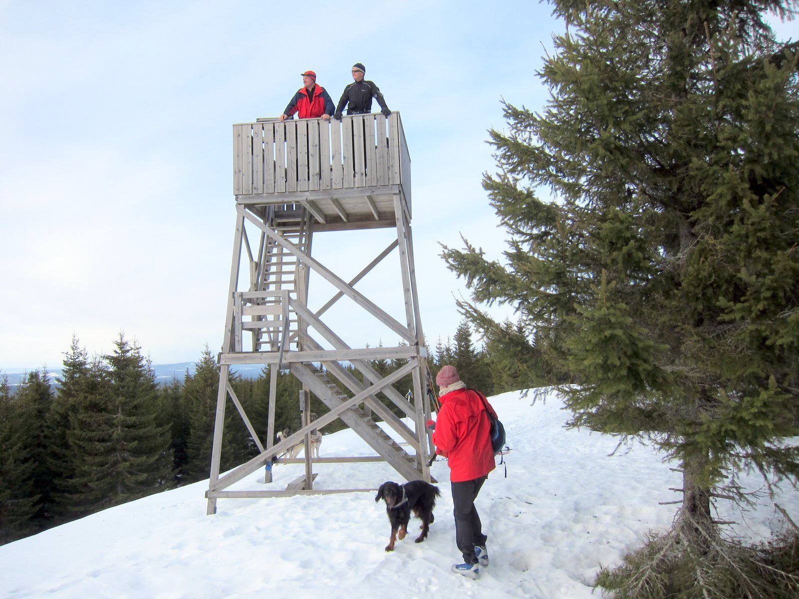 Utsiktstårnet på Molstadbrenna