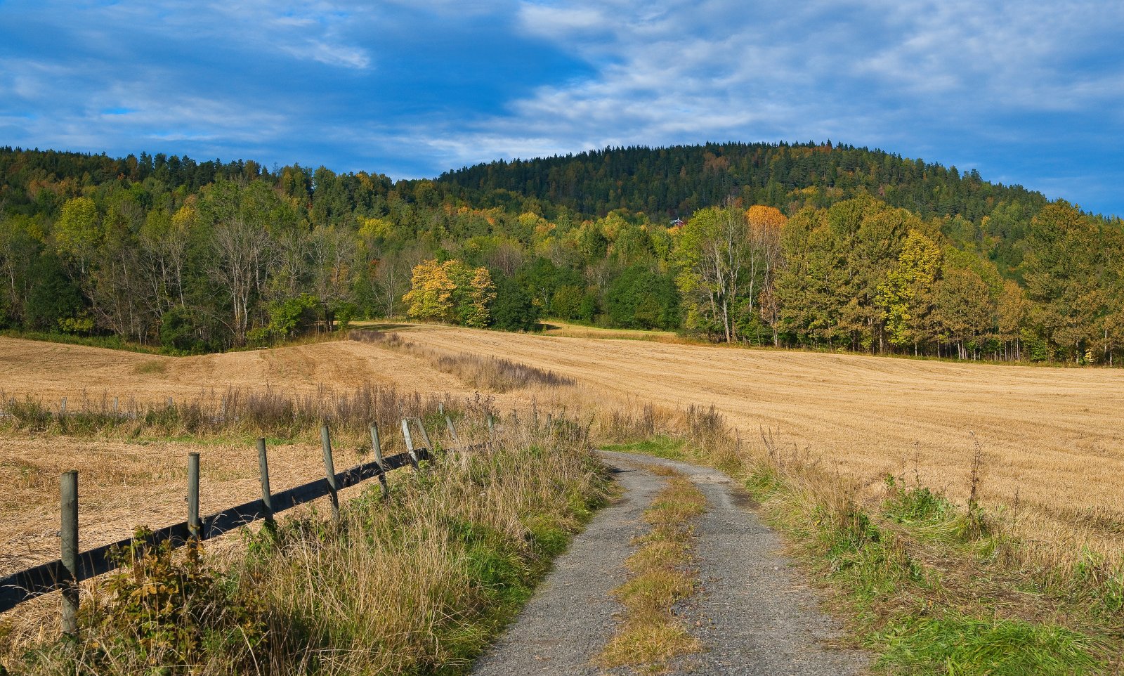 Utsyn mot Gardlaushøgda