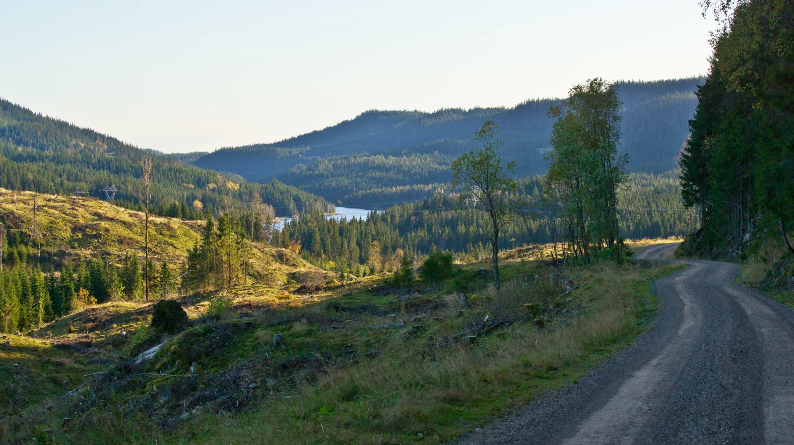 Utsyn mot Langlivannet