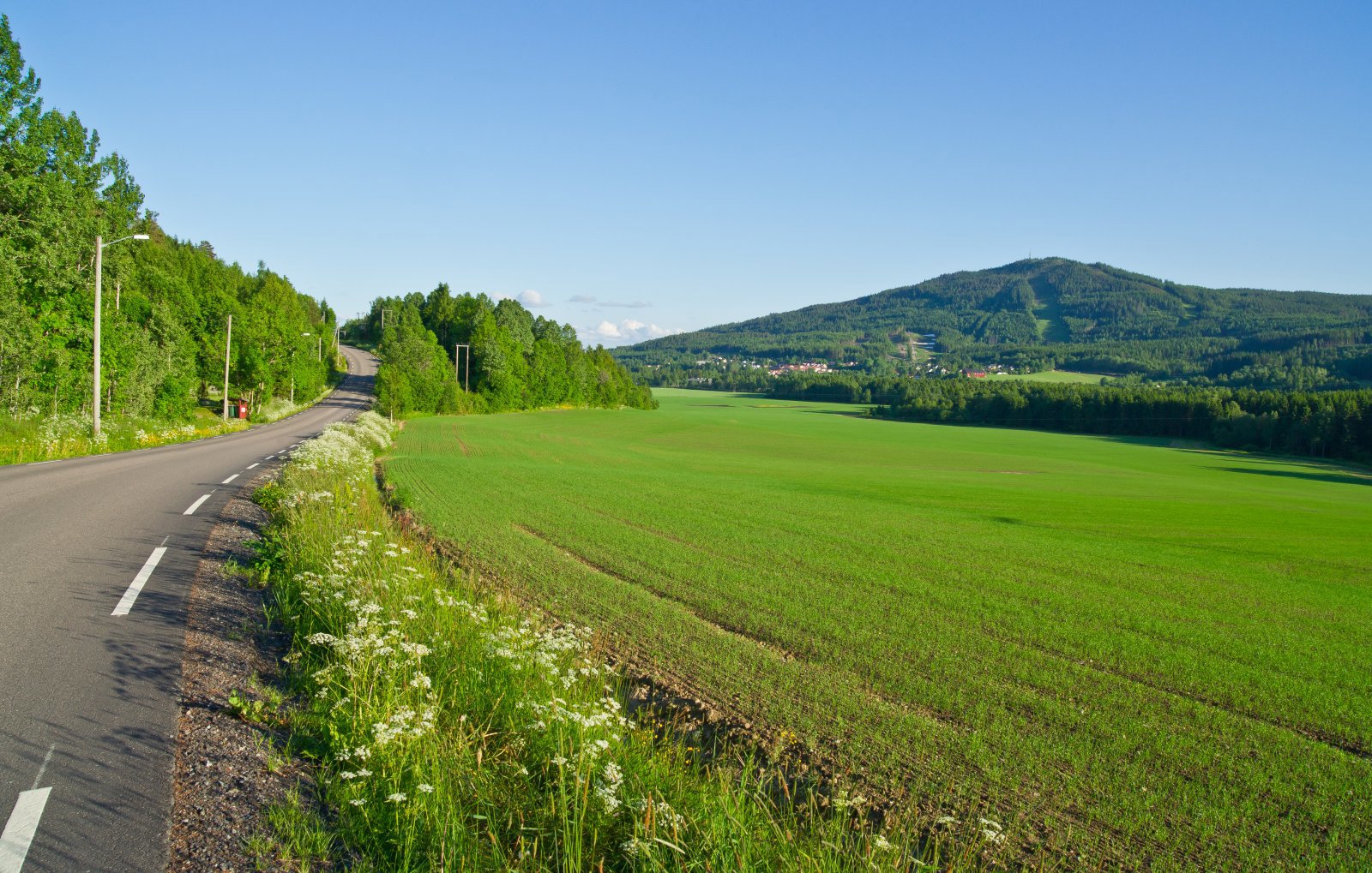 Utsyn mot Varingskollen fra Gamleveien