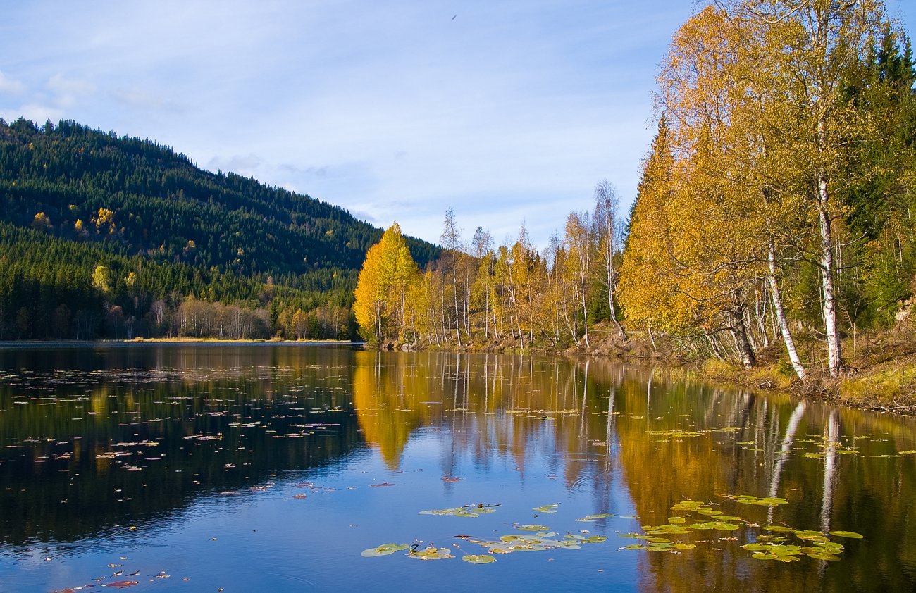 Vakker høst ved Kringla