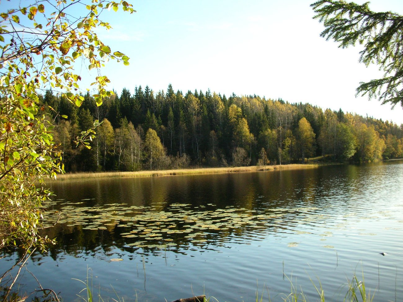 Vakker høstmorgen ved Svartvann