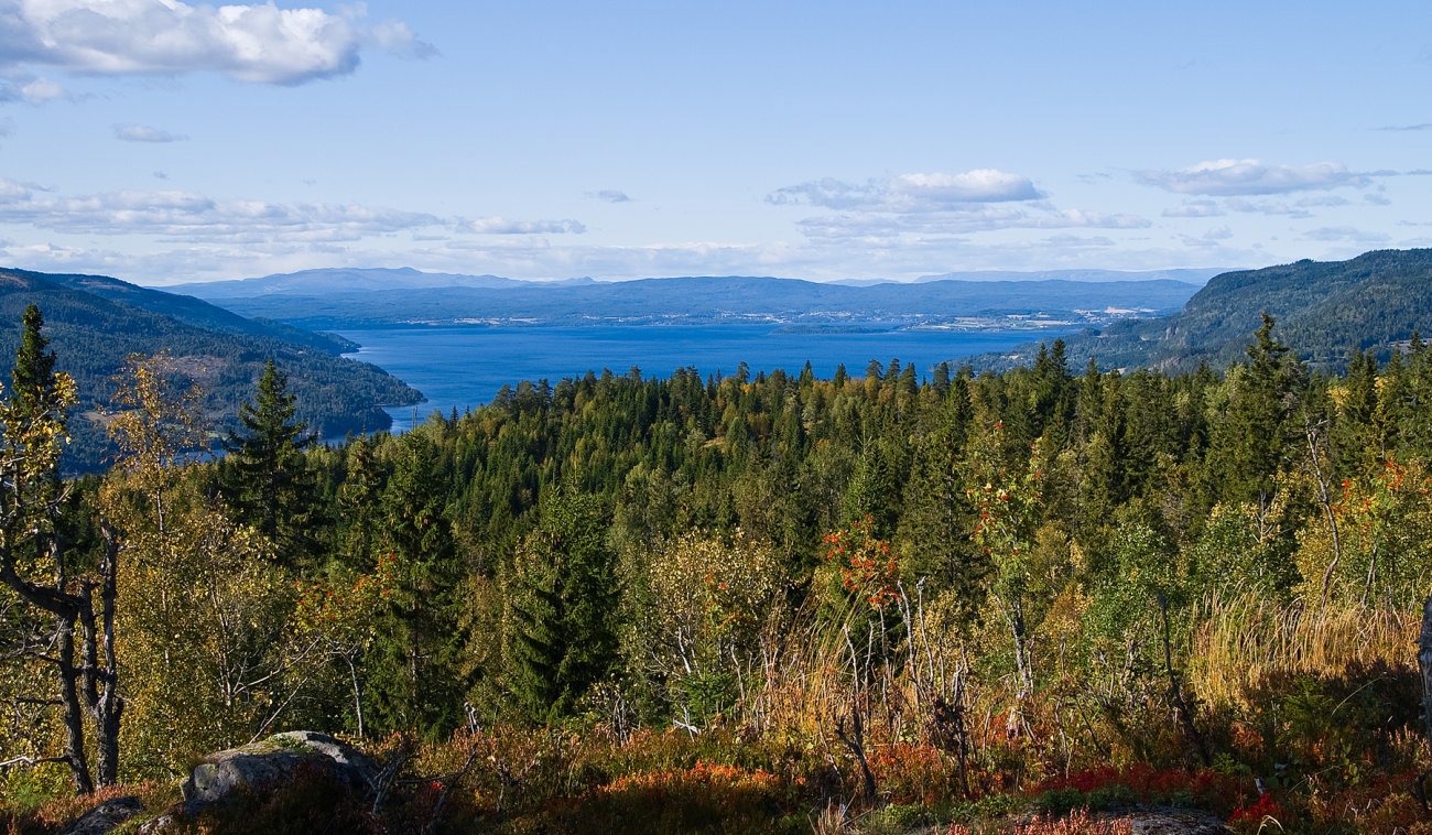 Vakker utsikt fra Høgbrennåsen
