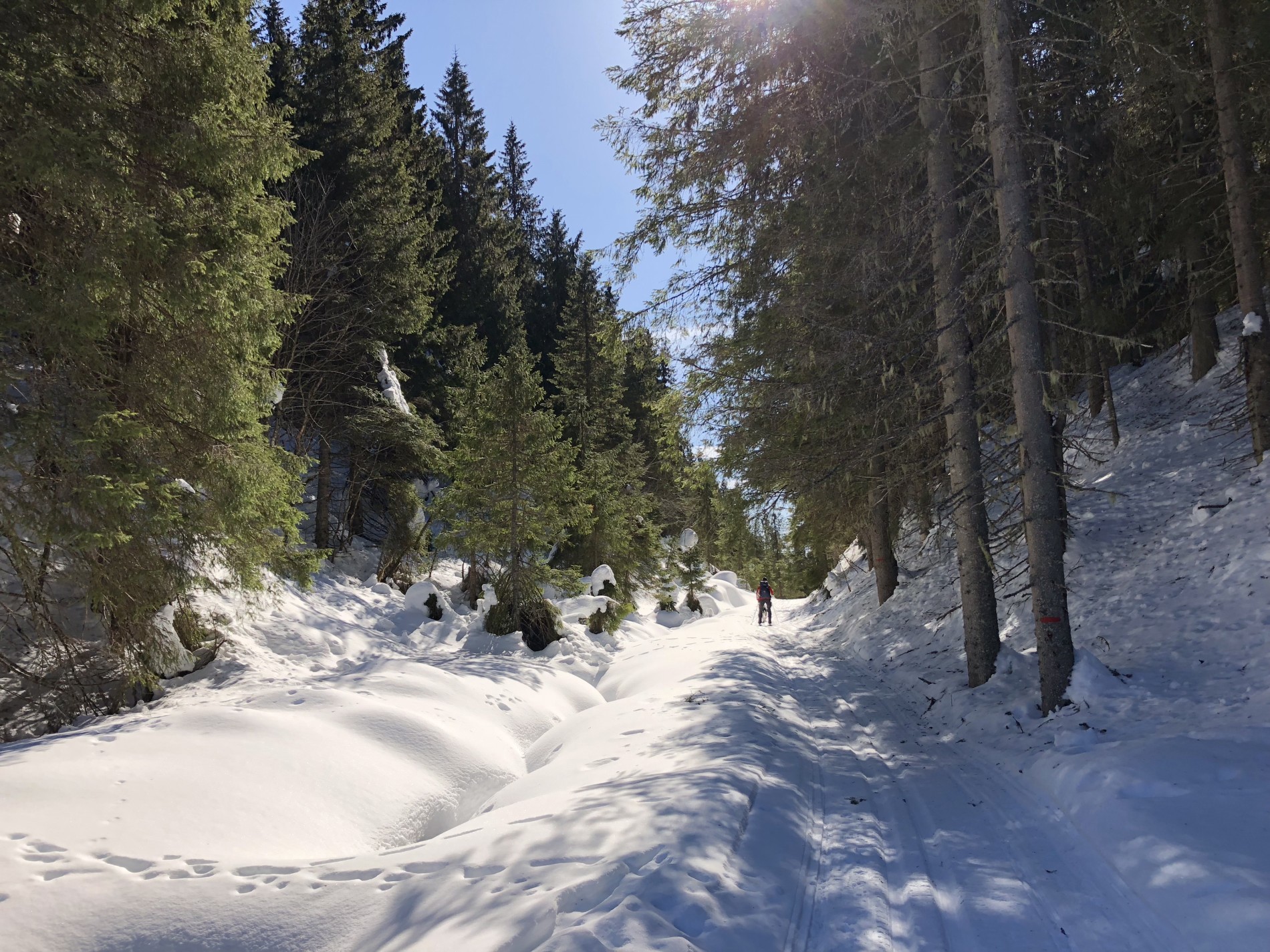Vakkert i Bjønnputtdalen