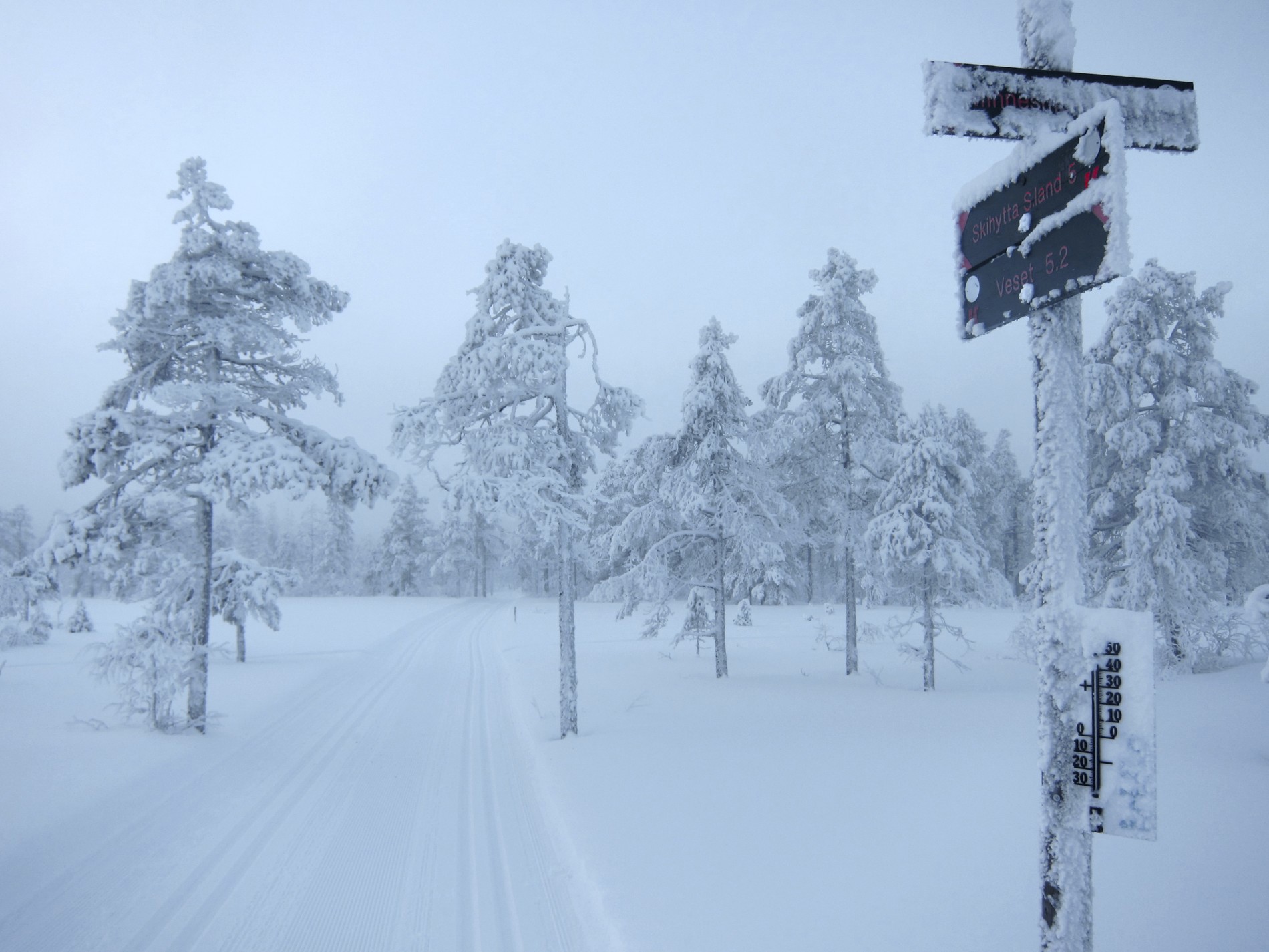 Vakkert i tåke på Vardalsåsen