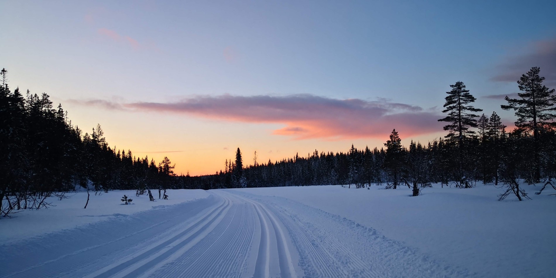 Vakkert lys og fine løyper ved Høgbrenna