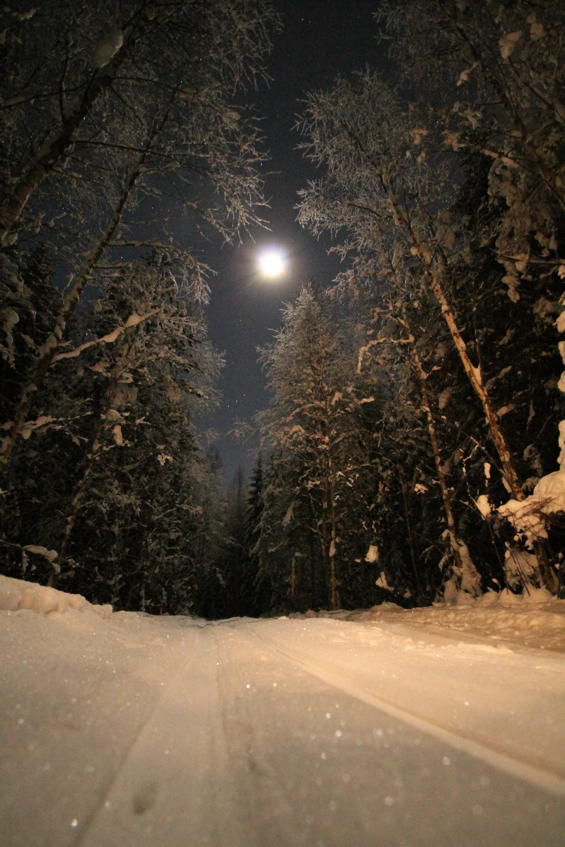 Vakkert måneskinn i vinternatten