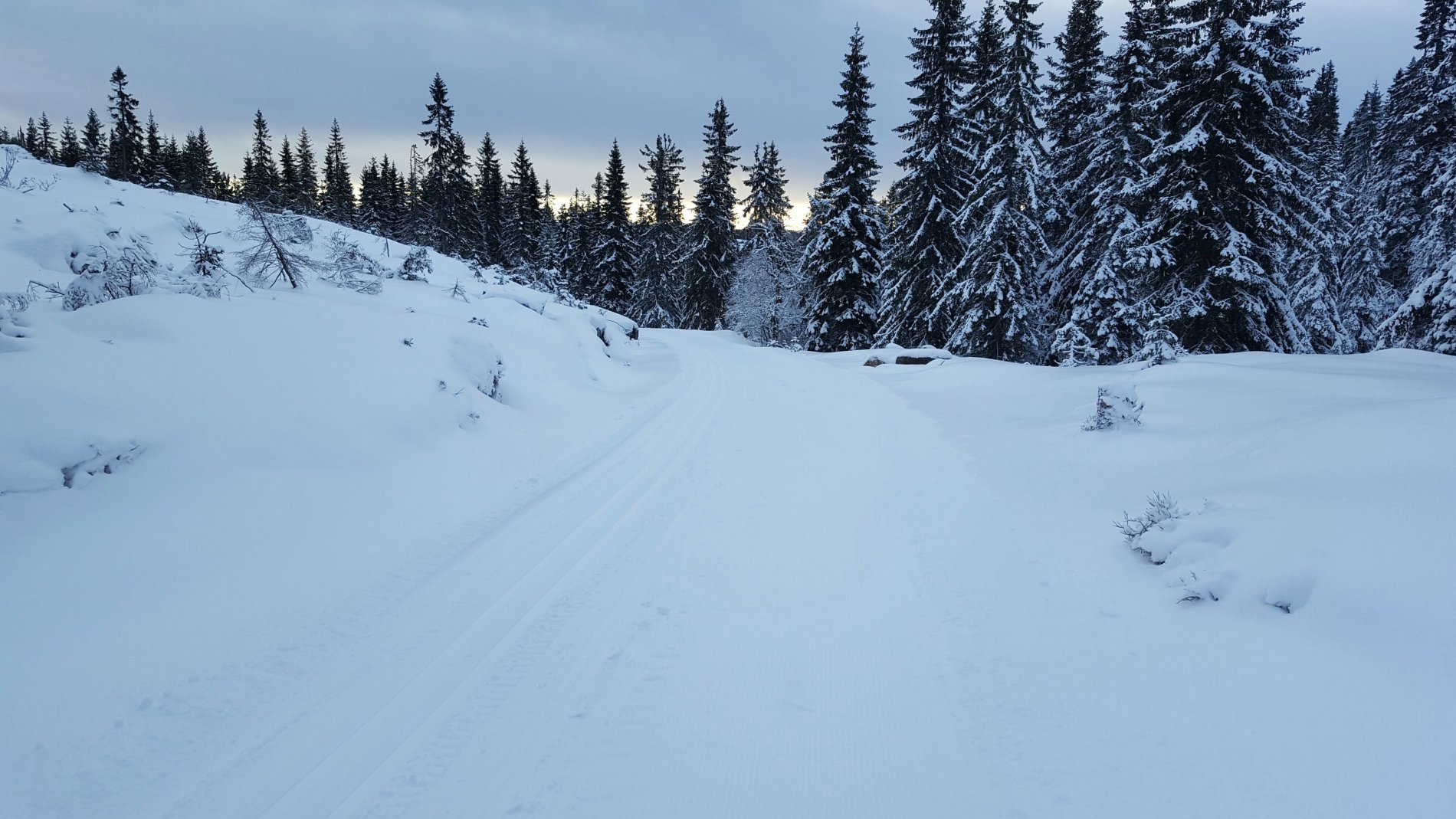 Vakkert på Dalkollen
