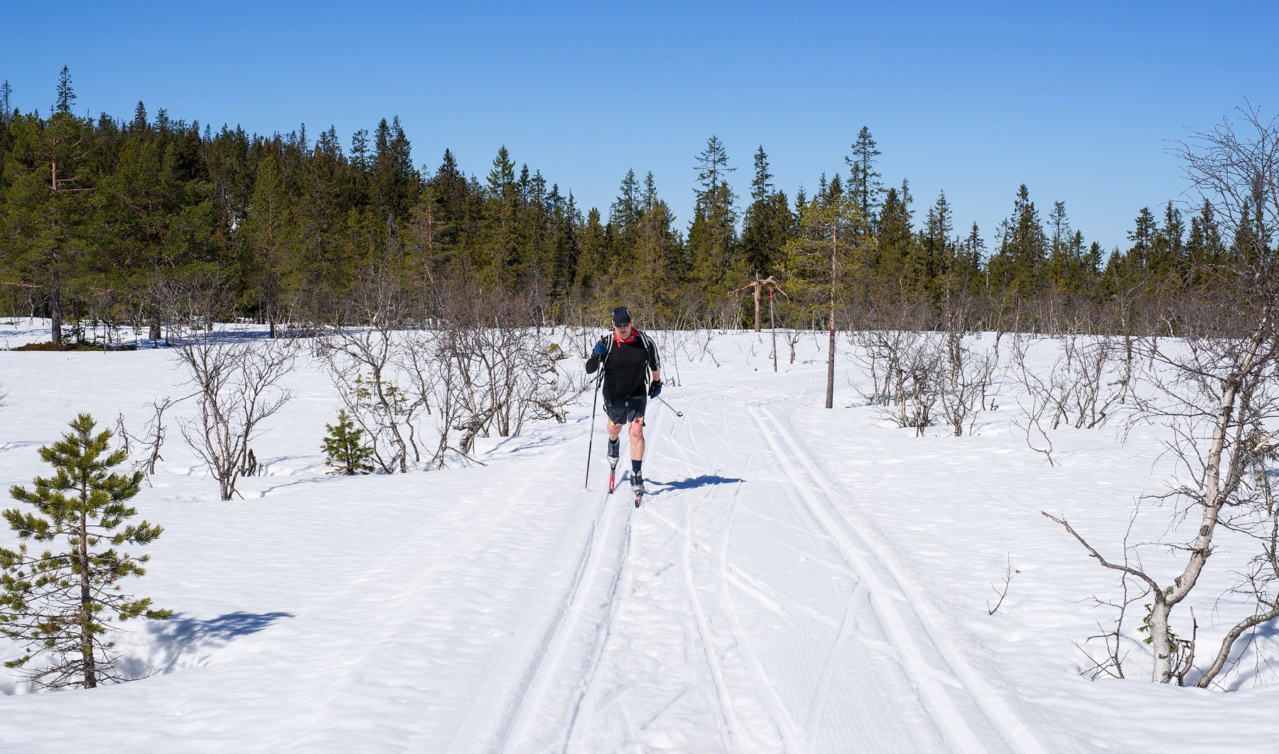 Vakkert på Skillemyra