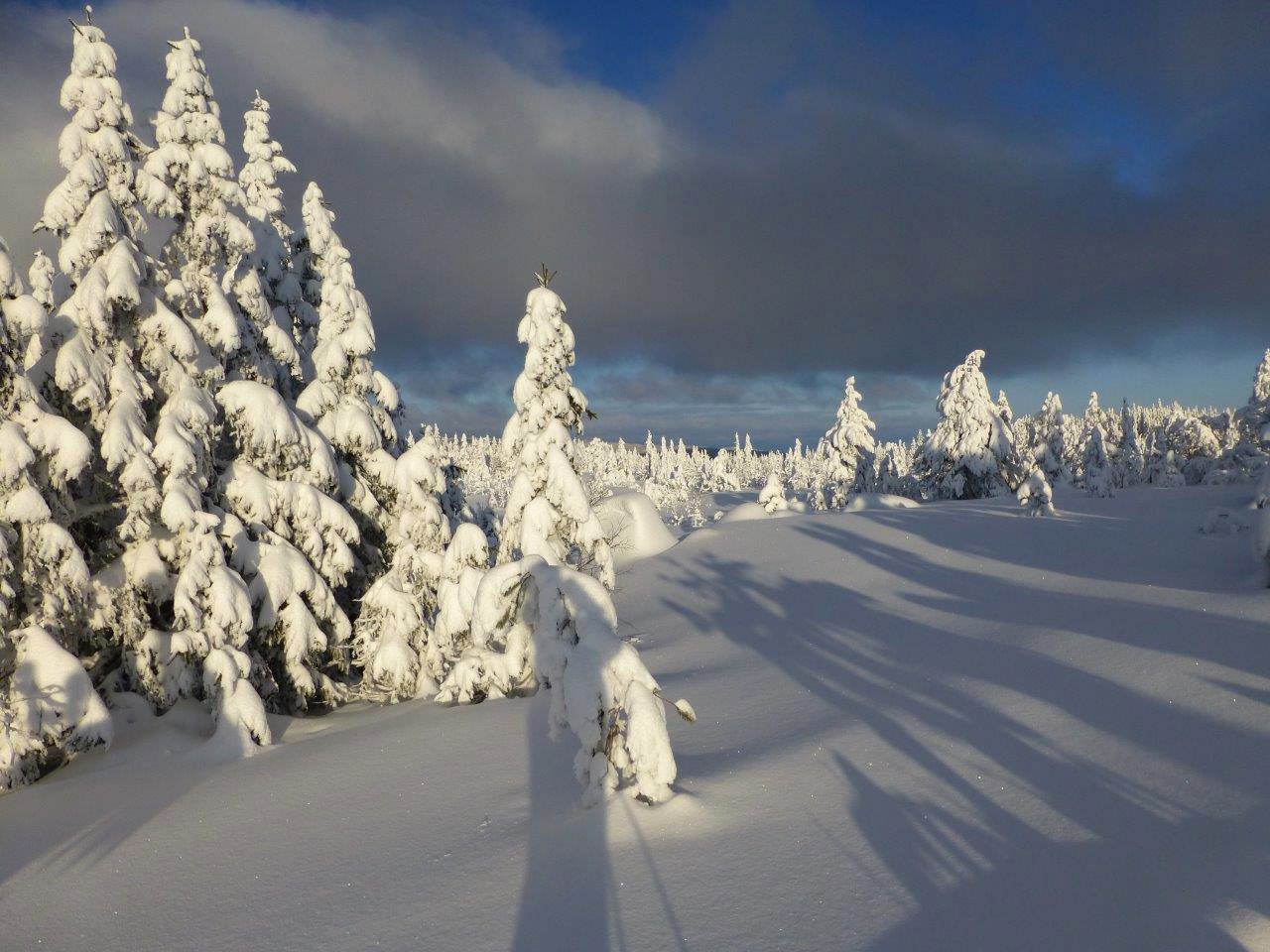 Vakkert på Skreikampen