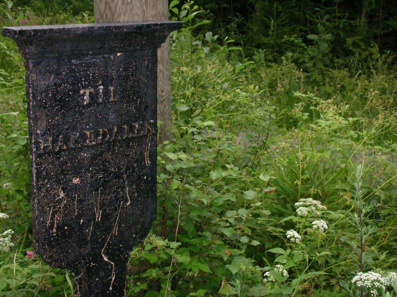 Vakkert veimerke fra Greveveien ved Sandermosen