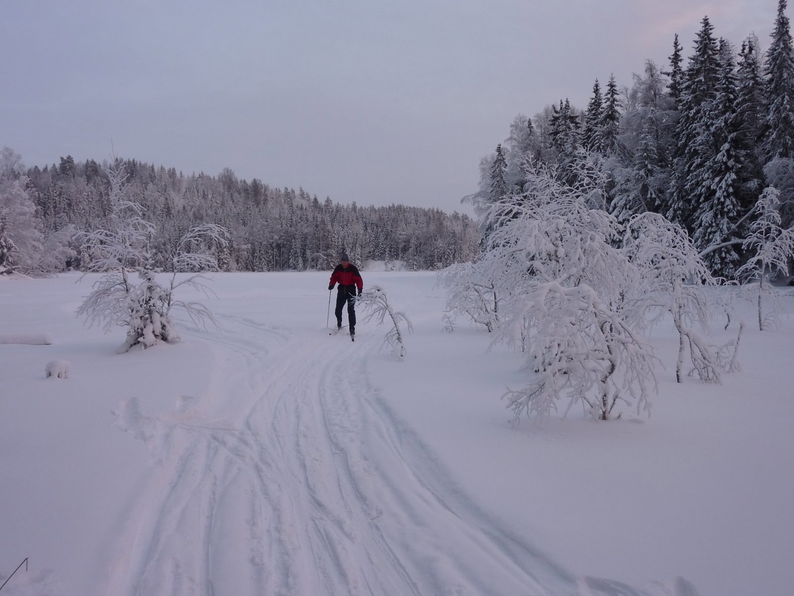 Vakkert vinterlys ved Drettvann