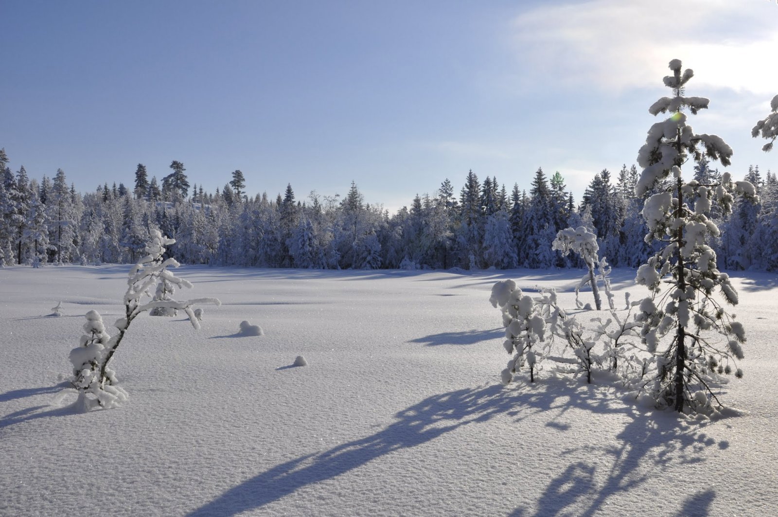 Vakrere blir det ikke