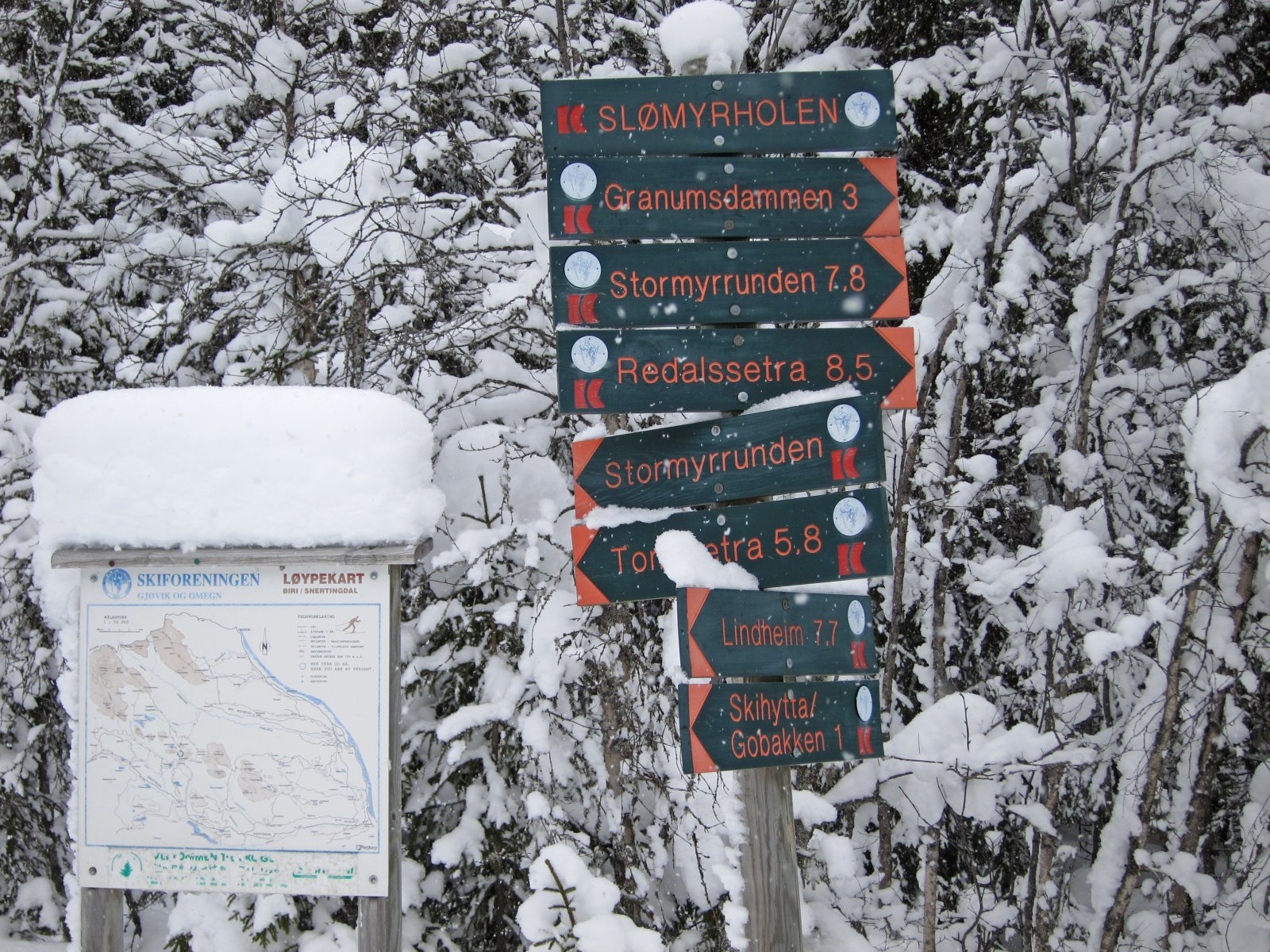 Valgene ved Slømyrholen