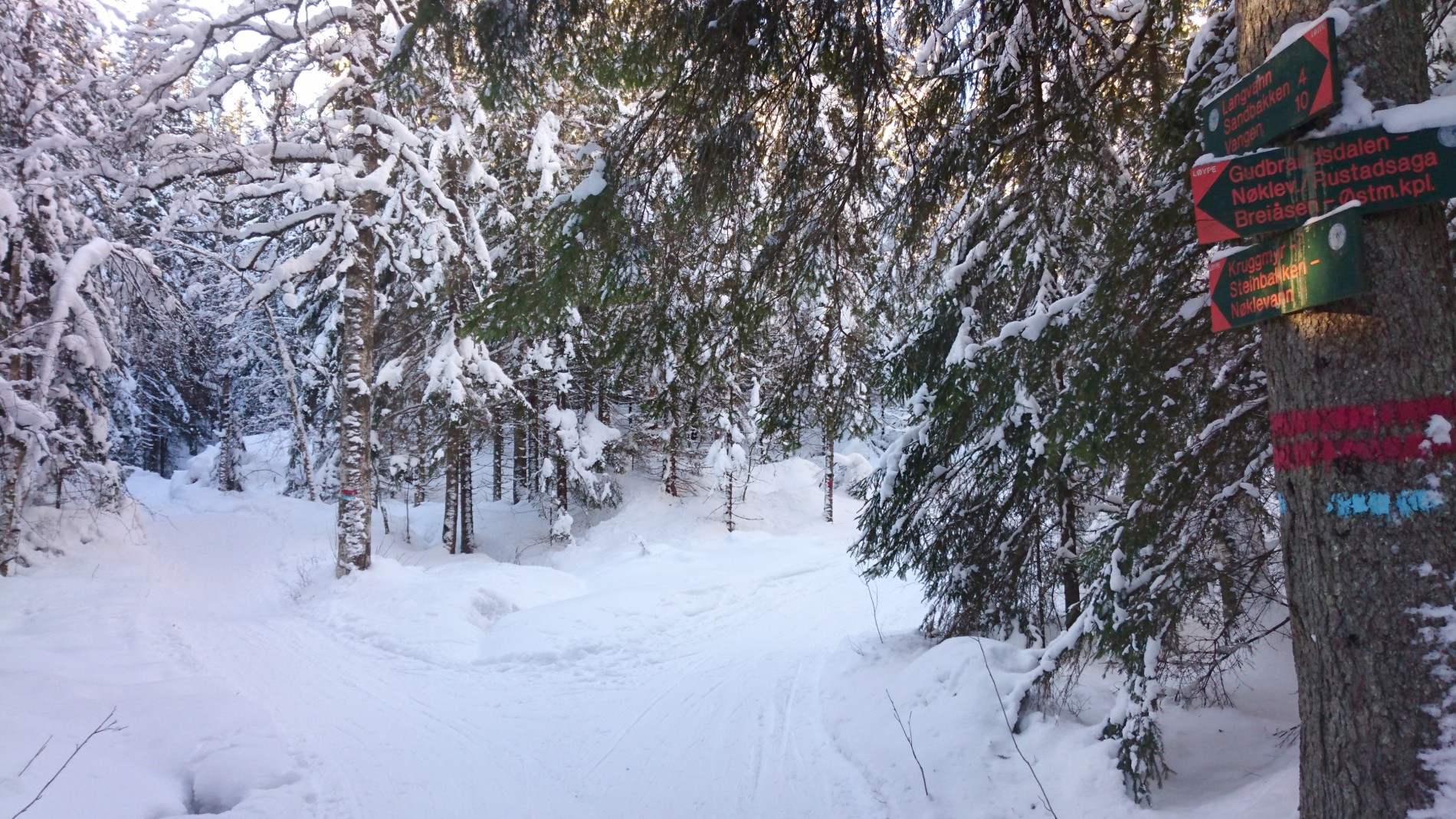 Valgets kval - hvilken av to flotte løyper skal man velge?