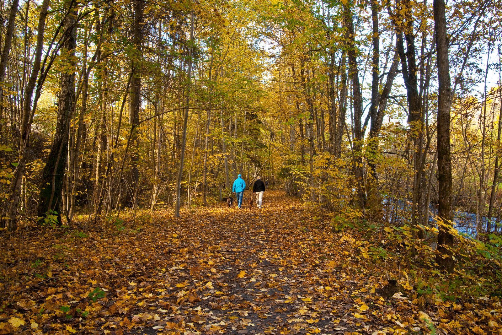 Vandring på bestrødd sti