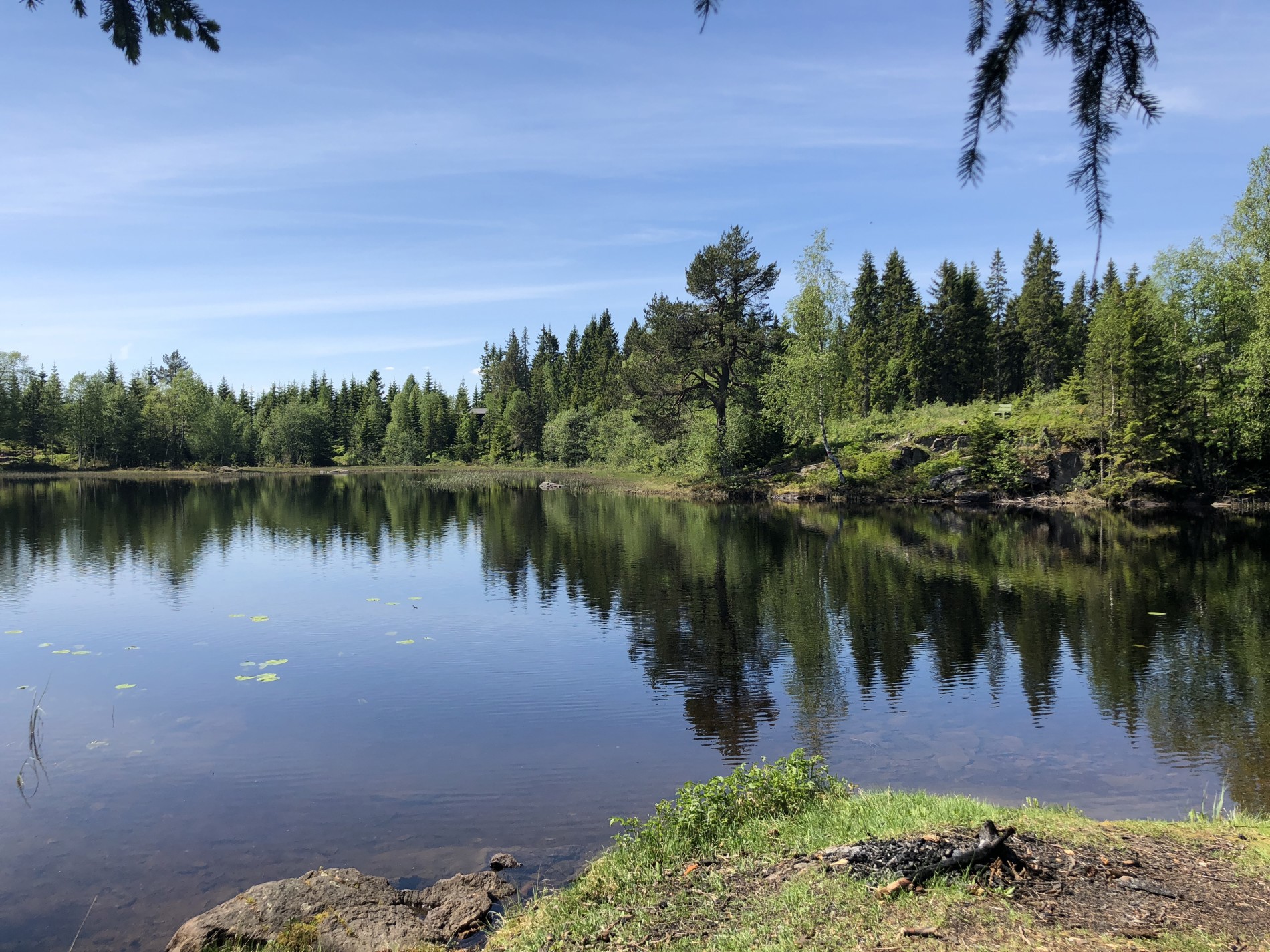 Vår ved Retthelltjern