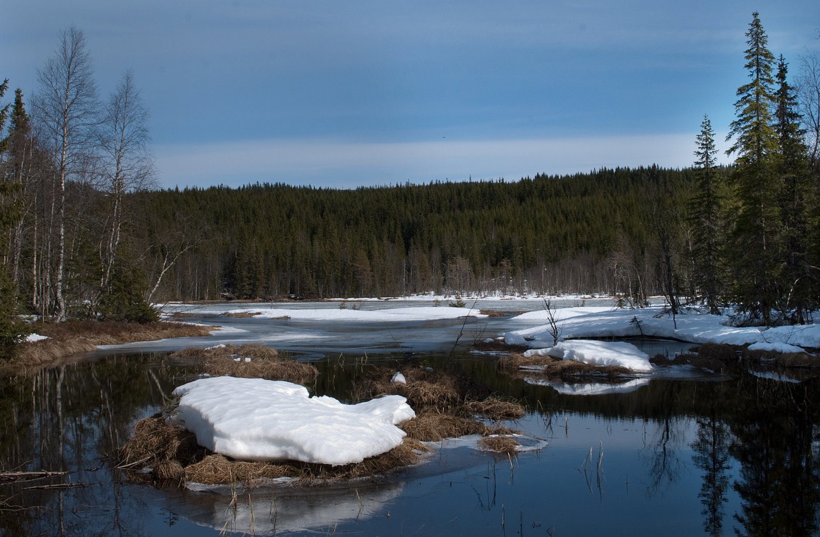 Vår ved Vesle Damtjennet