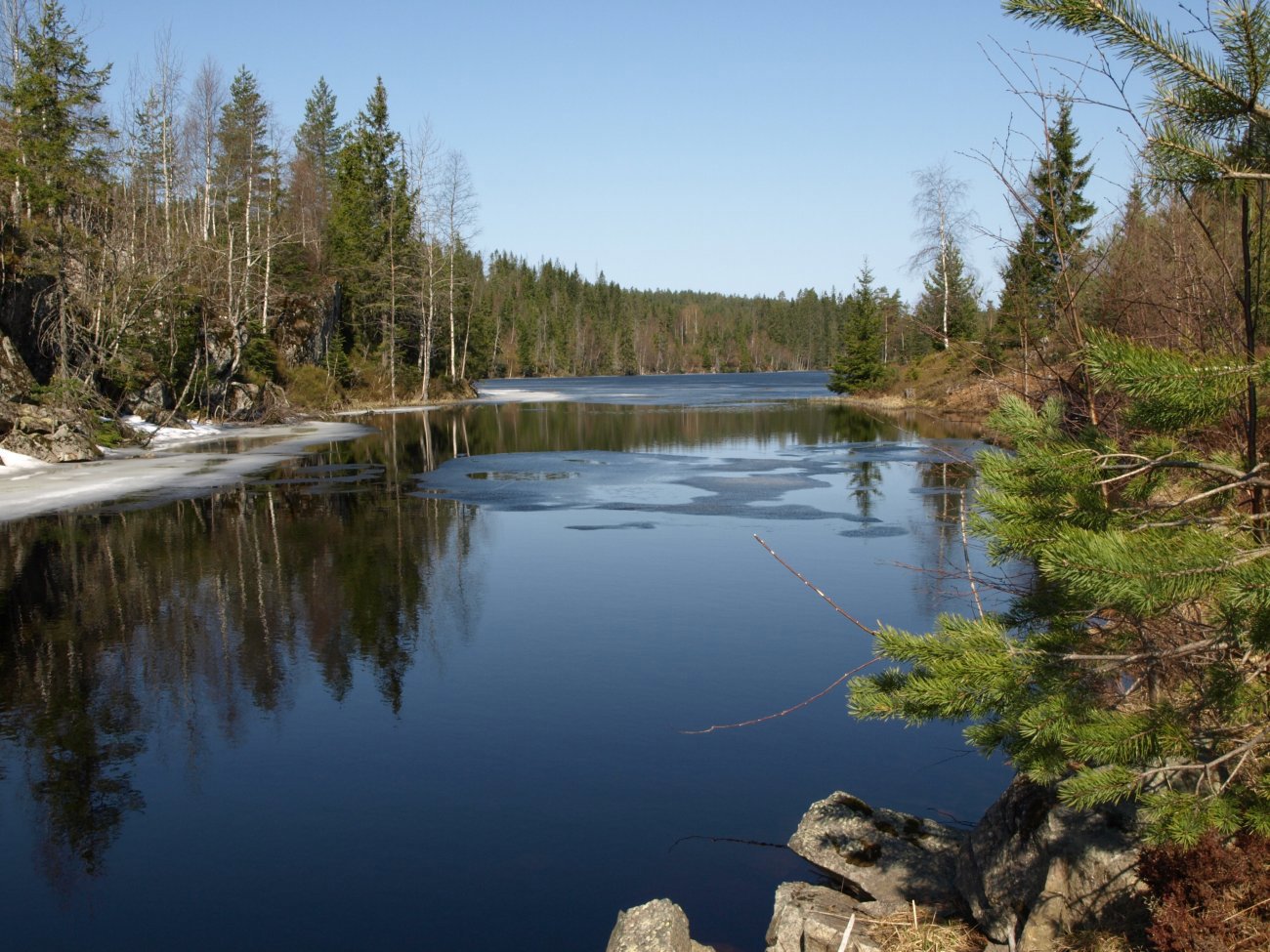 Våren er kommet til Gimilen
