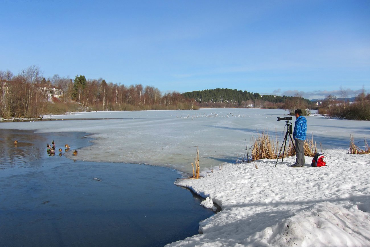Våren nærmer seg Østensjøvannet