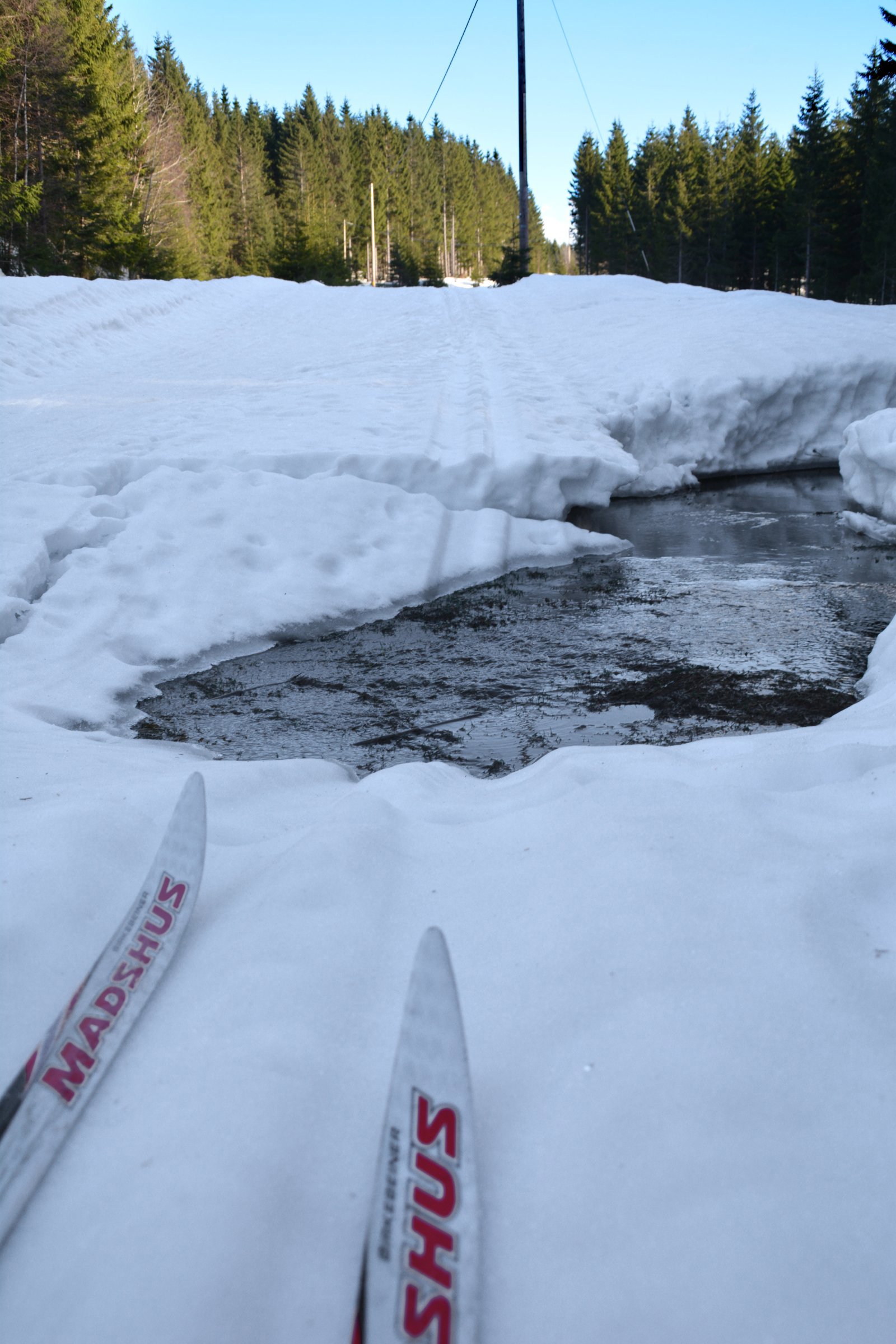 Våren trenger seg på