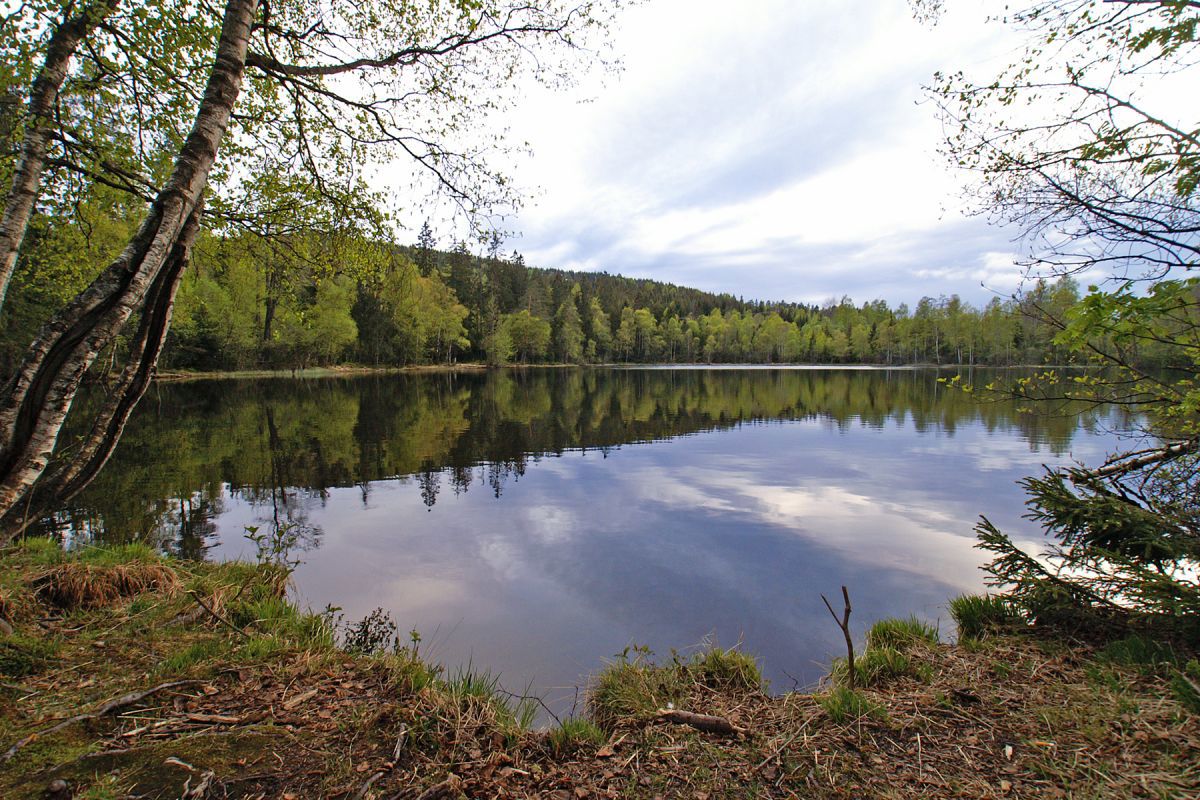 Vårfarger ved Steinstjern