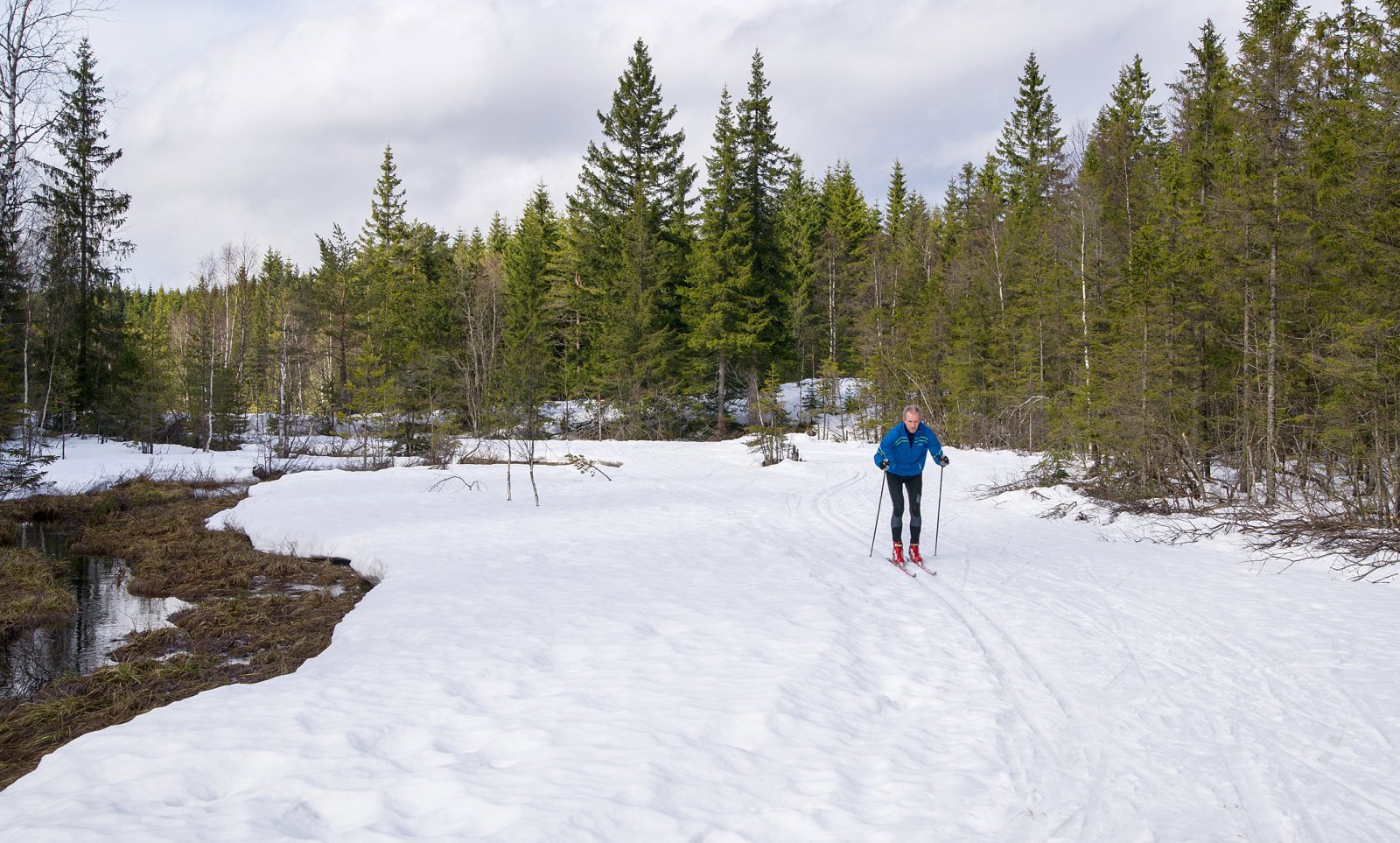 Vårføre i Vestmarka