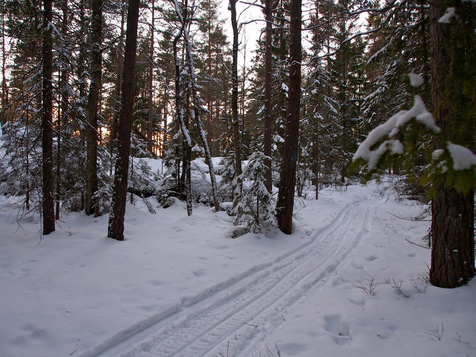 Vårføre over Høiås