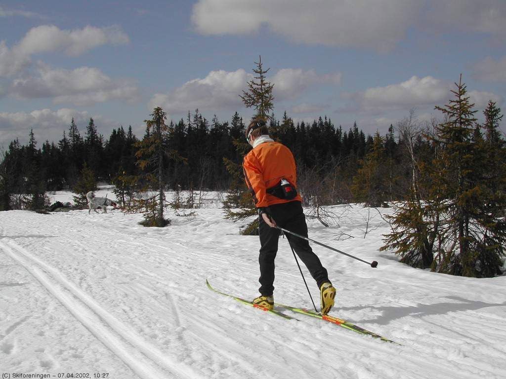 Vårføre på Bislingflaka