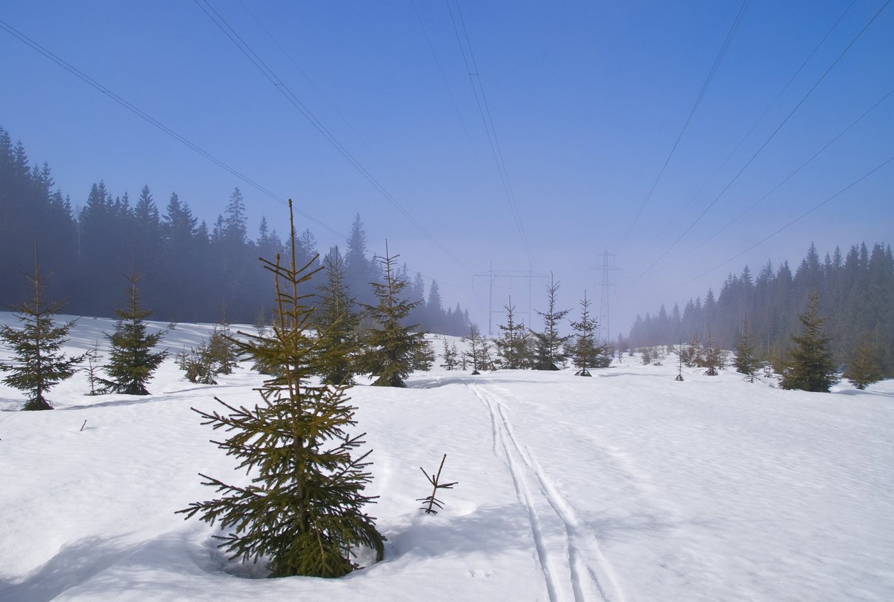 Vårføre på Kraftkollen