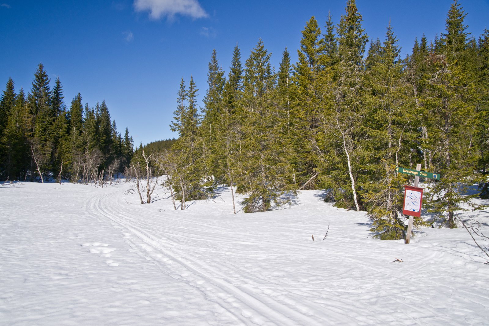 Vårføre ved Abbortjennet